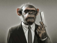 monkey with a gun